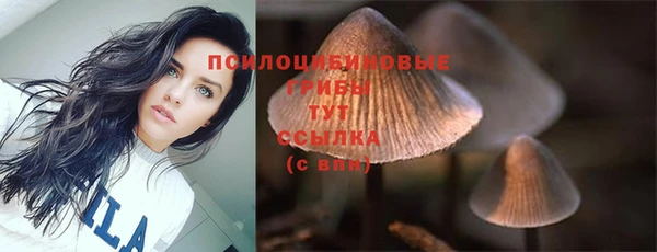ГАЛЛЮЦИНОГЕННЫЕ ГРИБЫ Алексеевка